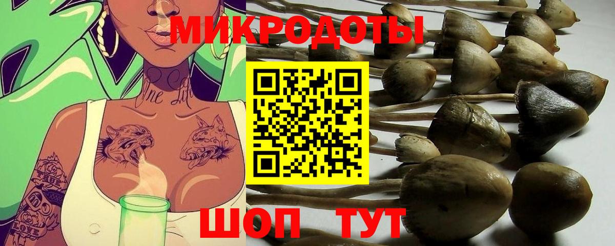 Псилоцибиновые грибы прущие грибы Красноярск