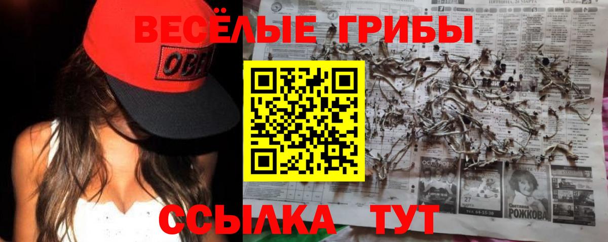 Псилоцибиновые грибы Psilocybe  Вход с VPN  где купить   Красноярск 